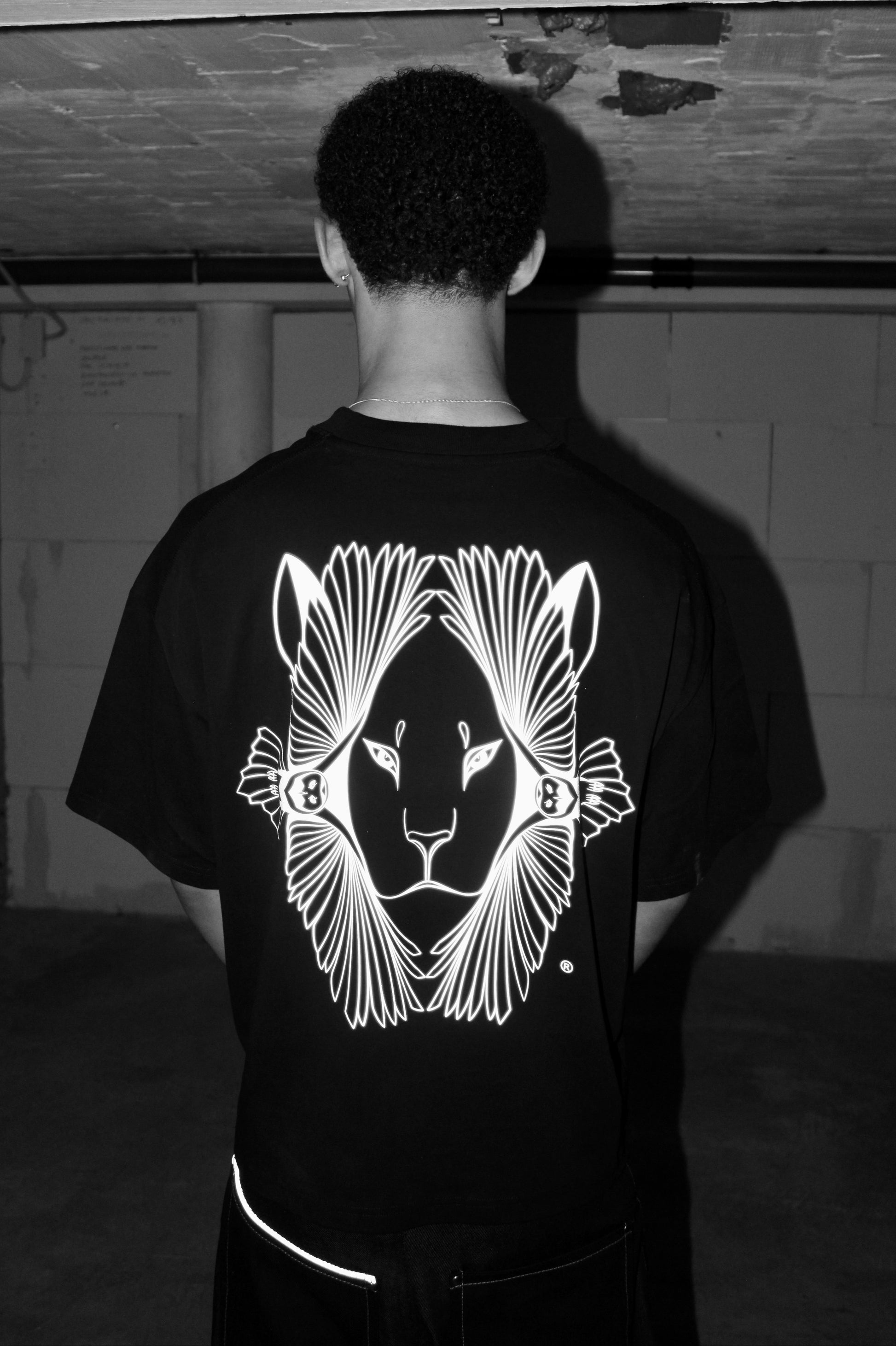 LM 1.0 DUAL REFLECTOR T